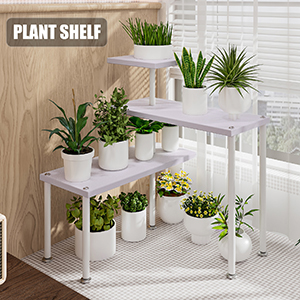 corner shelf