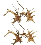 Dwuww 2Pcs Aquarium Driftwood Branches Natural Wood Reptiles Trunk Wood Fish Tank Decoration Plan...