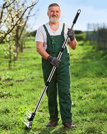 Iron Weed Rake