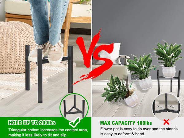 plants stand