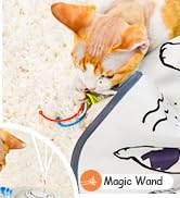 cat toys for indoor cats