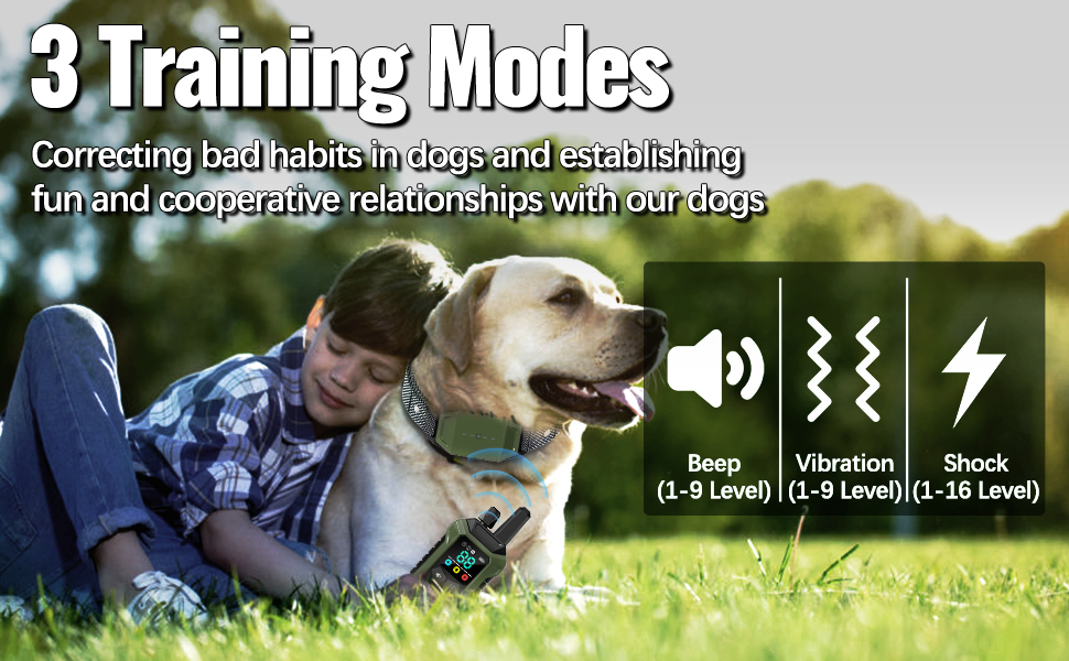 dog training collar