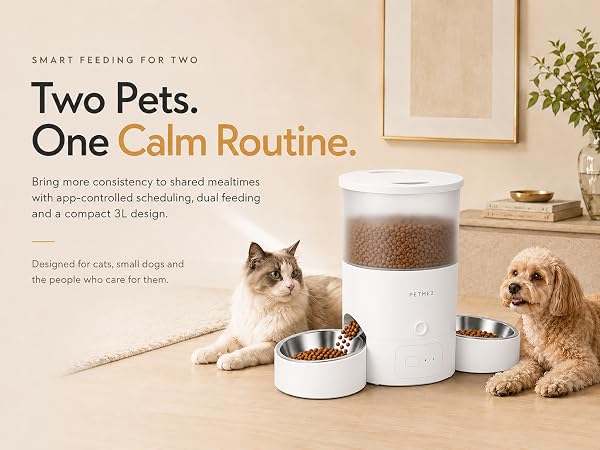 Automatic Cat Feeder