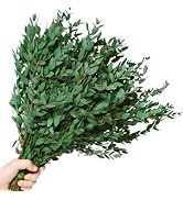 20+ Small Dried Eucalyptus Stems, 7-14 Pcs Preserved Greenery Eucalyptus Branches, 17'' Natural R...