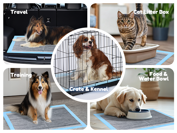 Dog and Puppy Pet Training Pad