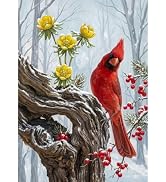 DIADAY Red Cardinal Diamond Painting Kit for Adults, Diamond Art 12x16 Inch | 5D Diamond Art Kits...