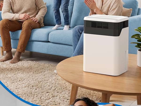 Dehumidifier