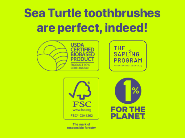 Perfect Toothbrush