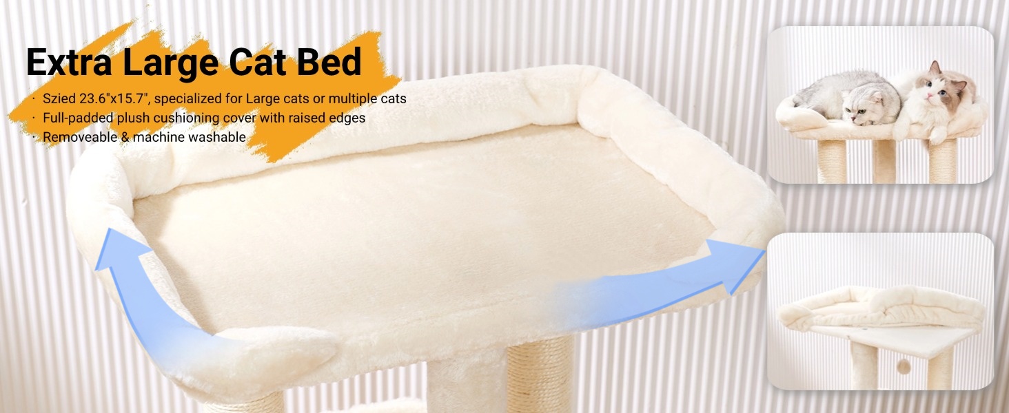 cat perch