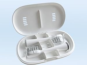 electric toothbrush with water flosser
