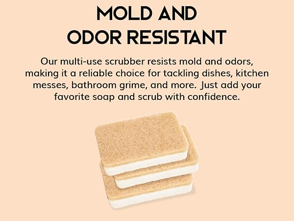 Greenzla Natural Sponges, natural kitchen sponge, dish sponge, plant based, household cleaning