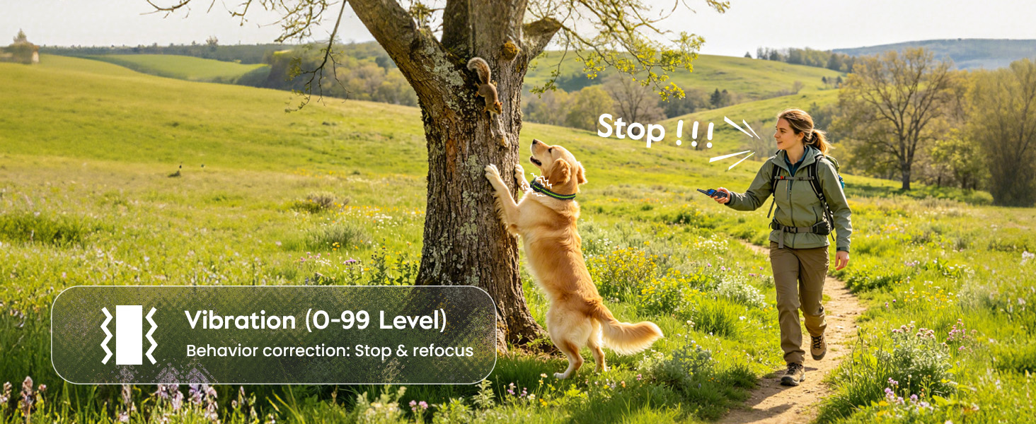 dog shock collar with remote control