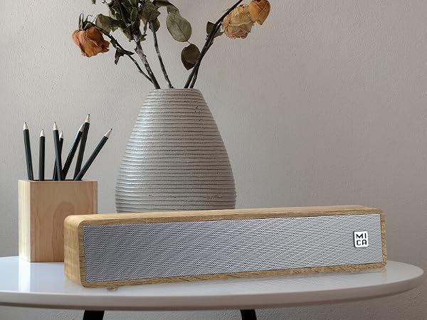 MICA Computer Speakers