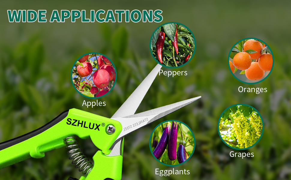 pruning shears