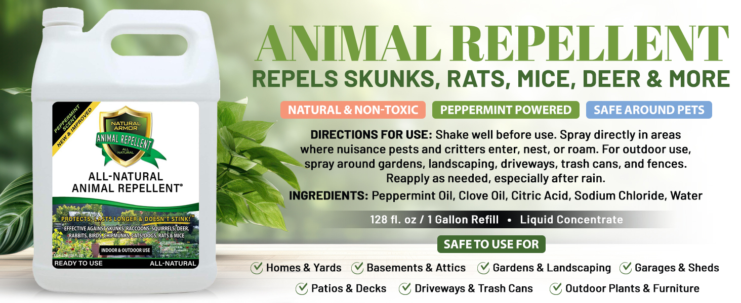 peppermint oil spray for bugs