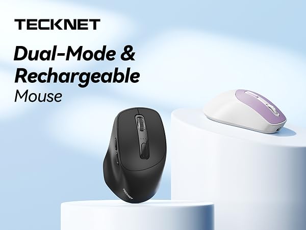 mouse