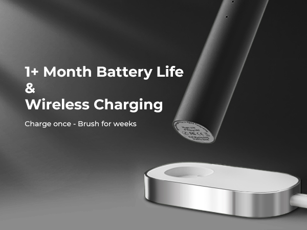 electric toothbrush for adults