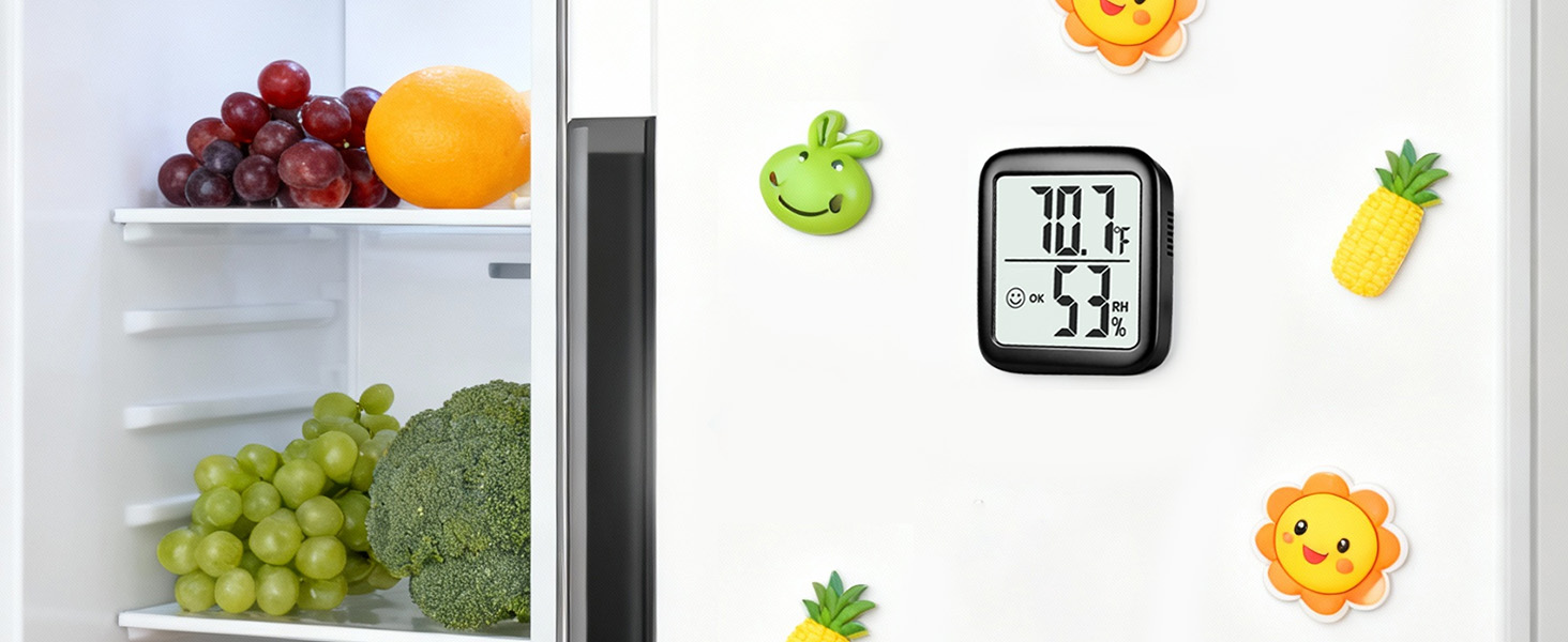 thermometer and humidity gauge