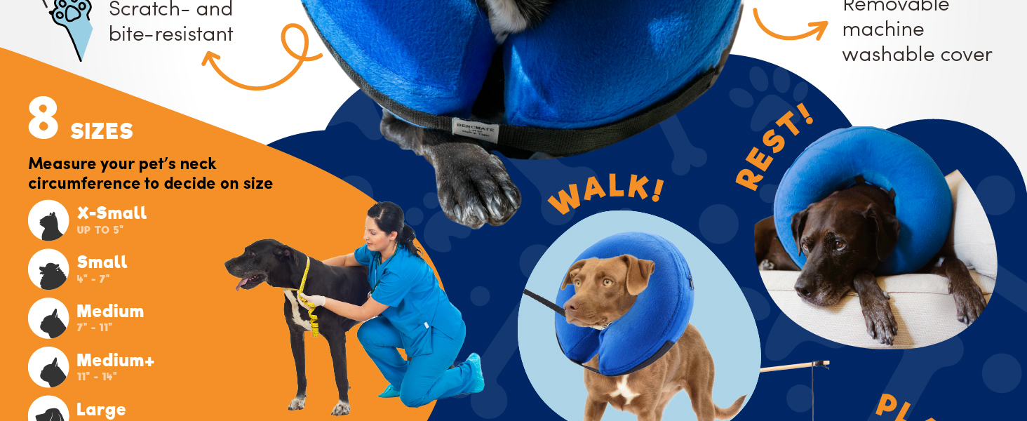 dog cone
