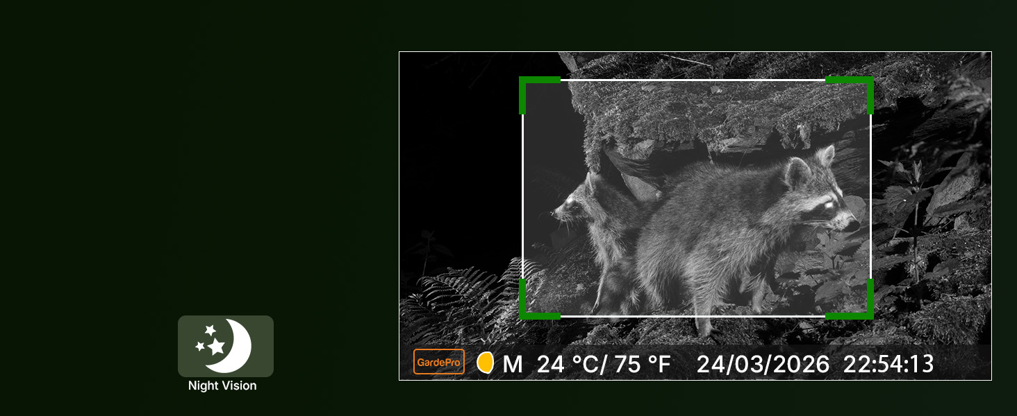 night vision