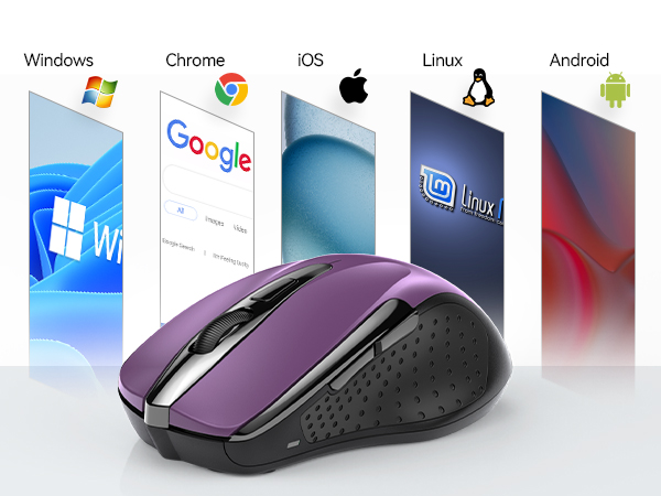mouse
