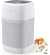 Air Purifier and Dehumidifier in 1, Afloia Q10 True HEPA Air Purifier with H13 HEPA Filter, Small...