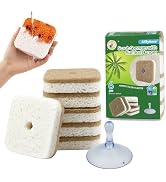 Silkyhose 6pcs Scrub Sponges with Suction Cup Hook, Natural Kitchen Sponge