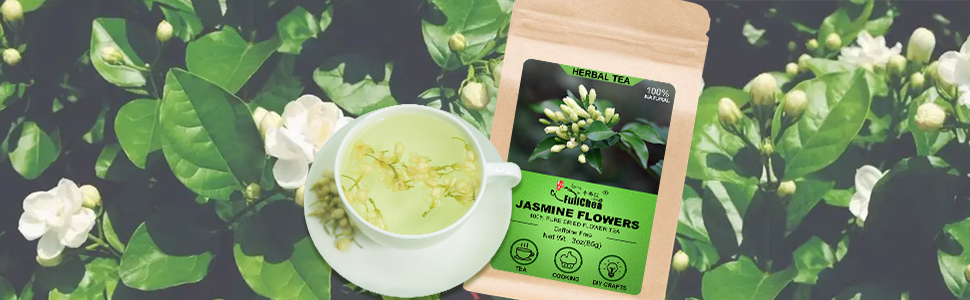 jasmine flower
