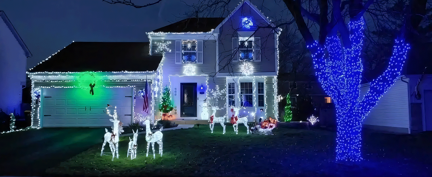 outdoor christmas lights