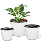 MYITYARD Plant Pots, 7.5/6.7/5 Inch Set of 3 Self Watering Pots for Indoor Plants, Plastic Flower...