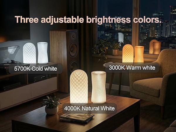 Three adjustable brightness colors