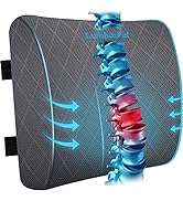 LumbarPal Lumbar Support Pillow for Office Chair Back Car, Gaming, - Improve Sitting Posture & Pa...
