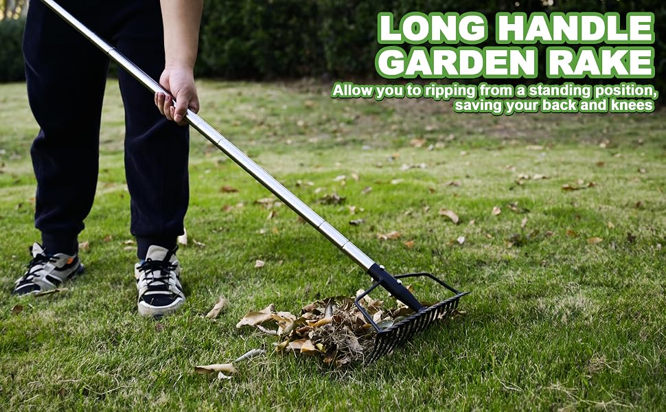 garden Rake
