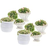 SHINEOFI 8Pcs Miniature Bed Pot Mini Fake Potted Plants Decorative Artificial Fake Grass Model fo...