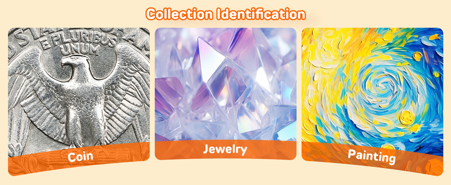 Collection Identification