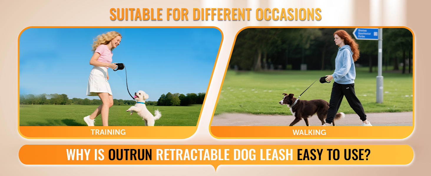 retractable dog lease for small and medium dogs