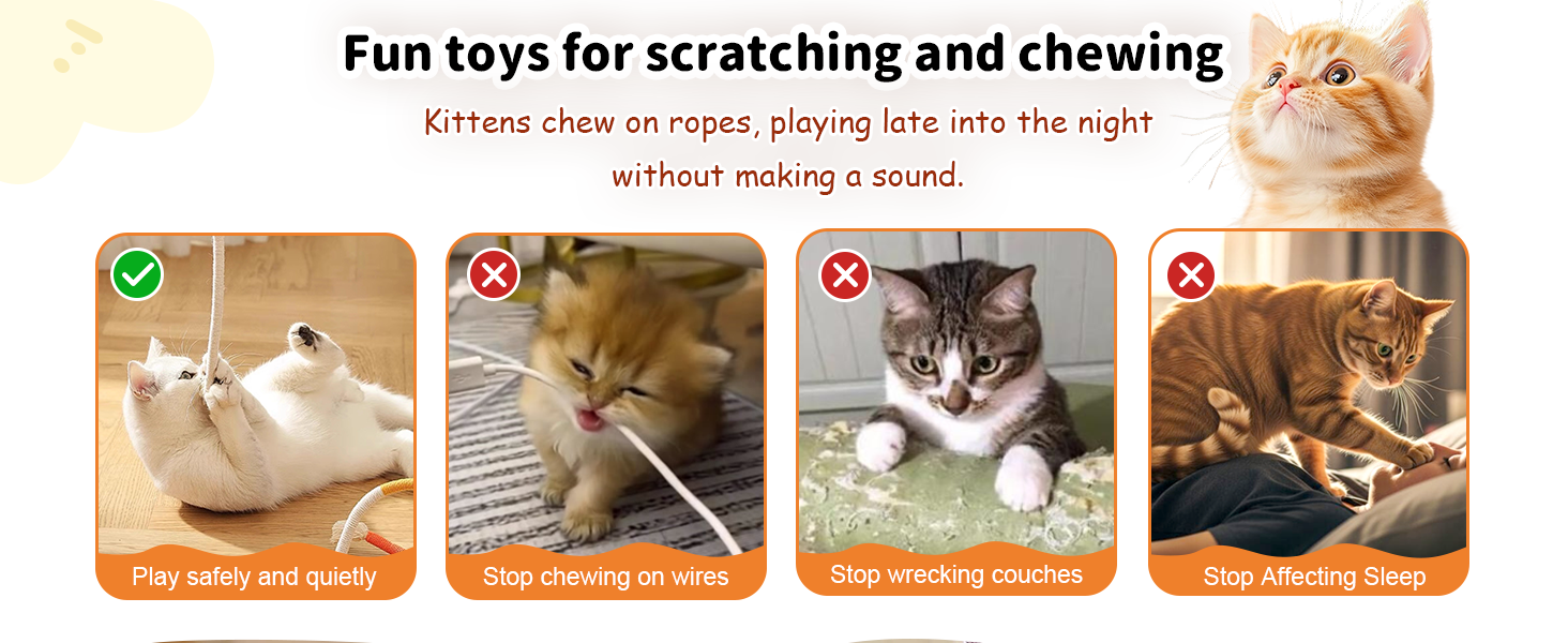 cat ropes