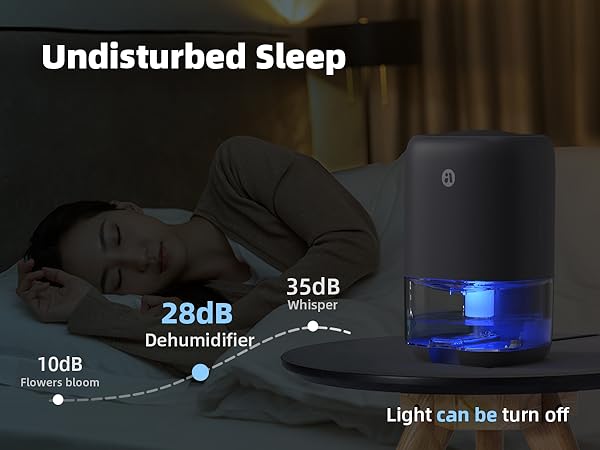 Small Dehumidifier