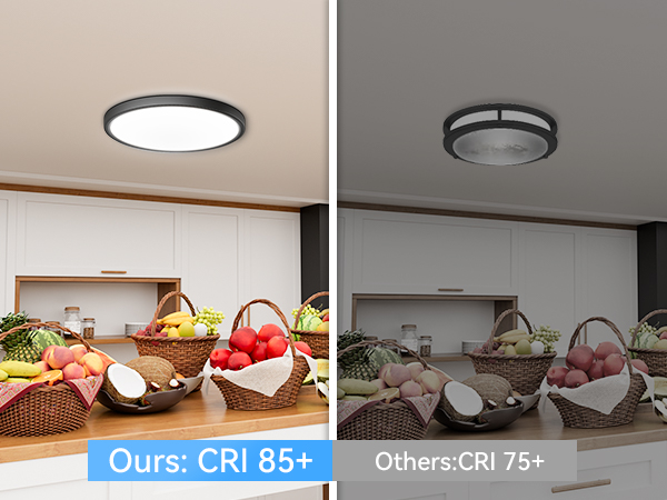 LED Ceiling Light