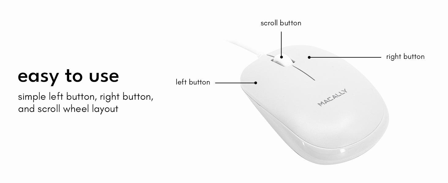 mouse