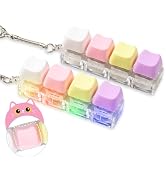 2 Pcs Keyboard Fidget Toy for Adult, Cute Cat Clicker Keyboard Fidget Keychain with LED Lights an...