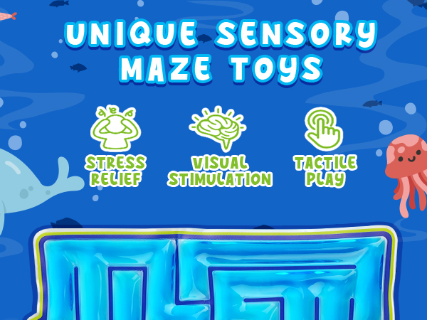Sensory Maze Toys