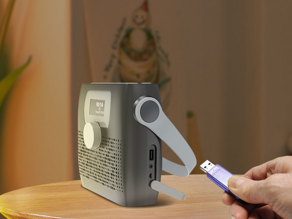 Portable FM Radio