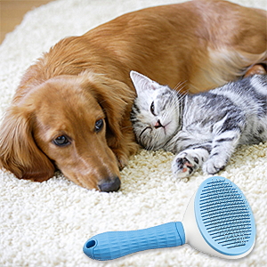 the method to reduce the pain during brushing