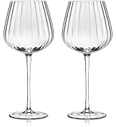 Joeyan Hand-Blown Crystal Red and White Wine Glasses,Clear Ribbed Stemmed Glasses,Modern Long Ste...
