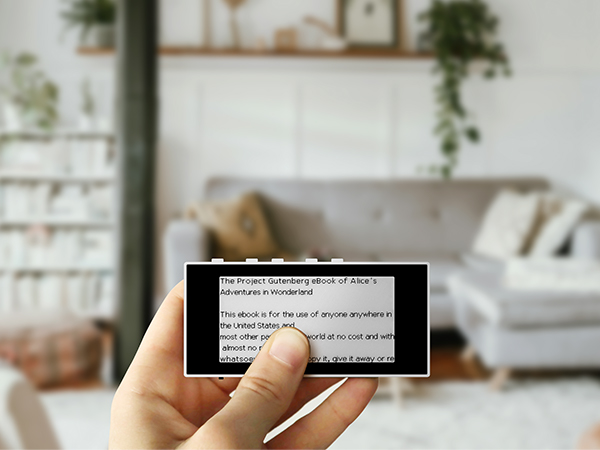 E-Ink Reader