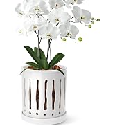BUYMAX 6 Inch Ceramic Orchid Pot with Large Slotted Holes, Orchid Planter for Enhanced Air Circul...