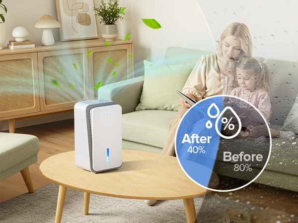 dehumidifier for basement
