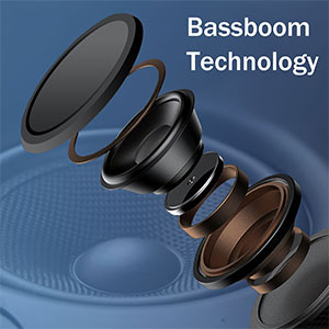 portable bluetooth speakers