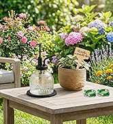 Amolliar Glass Plant Mister Spray Bottle, Vintage Refillable Leak Proof Watering Can for Indoor P...
